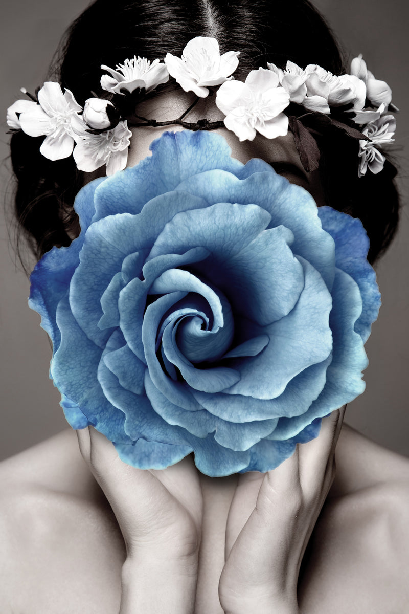 The Whispering Azure Rose