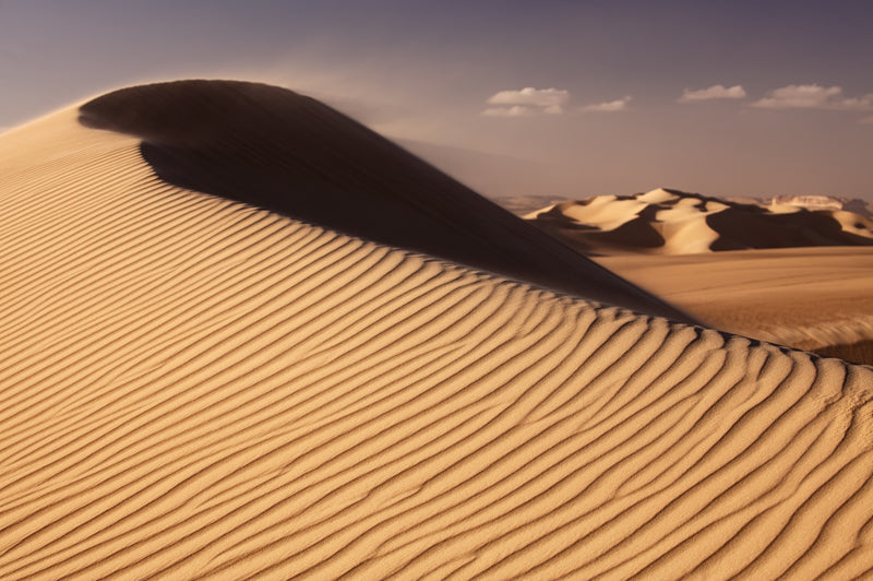 Wind-Carved Sands