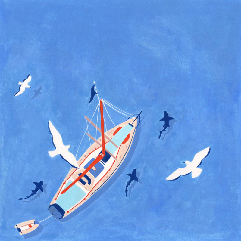 Aerial View of Sailboat and Sharks