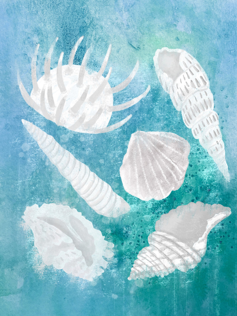 Coastal Shell Collection Watercolor Illustration