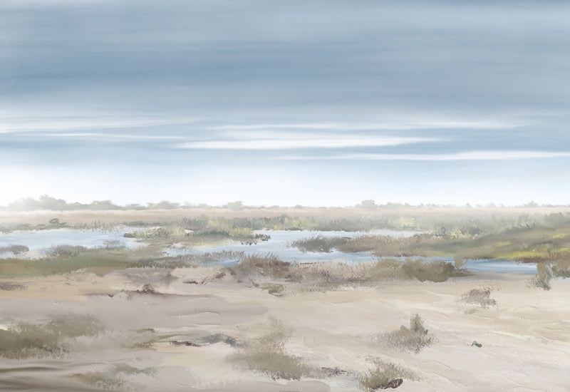 Misty Coastal Marshland Landscape