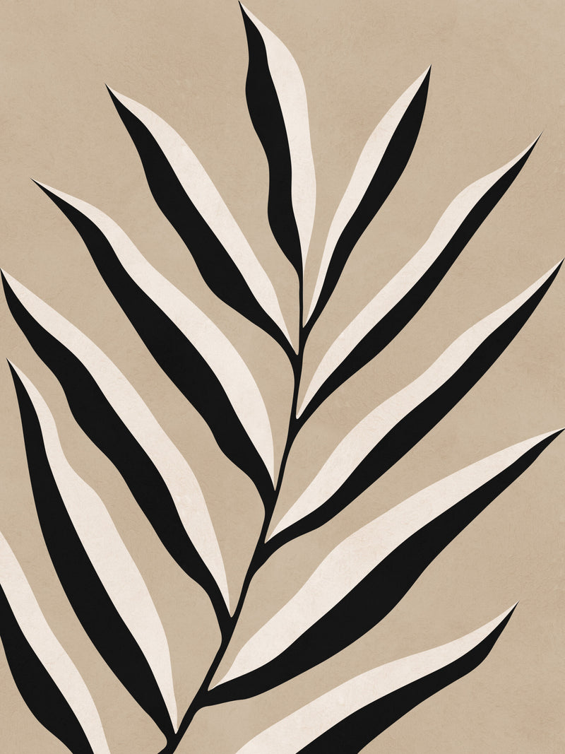 Minimalist Black and White Palm Leaf Botanical Illustration