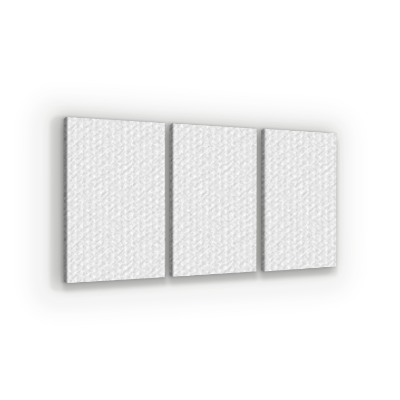 3 Framed Canvas